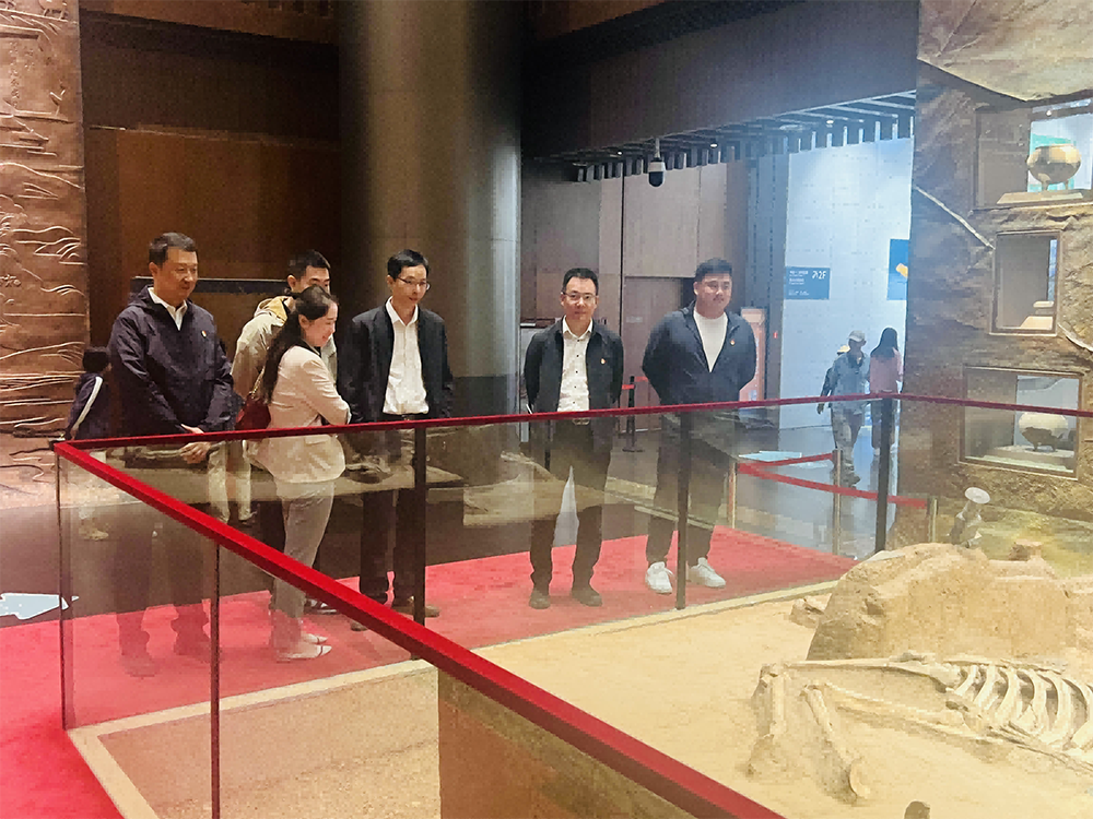 图片 3.png 图片 3.png